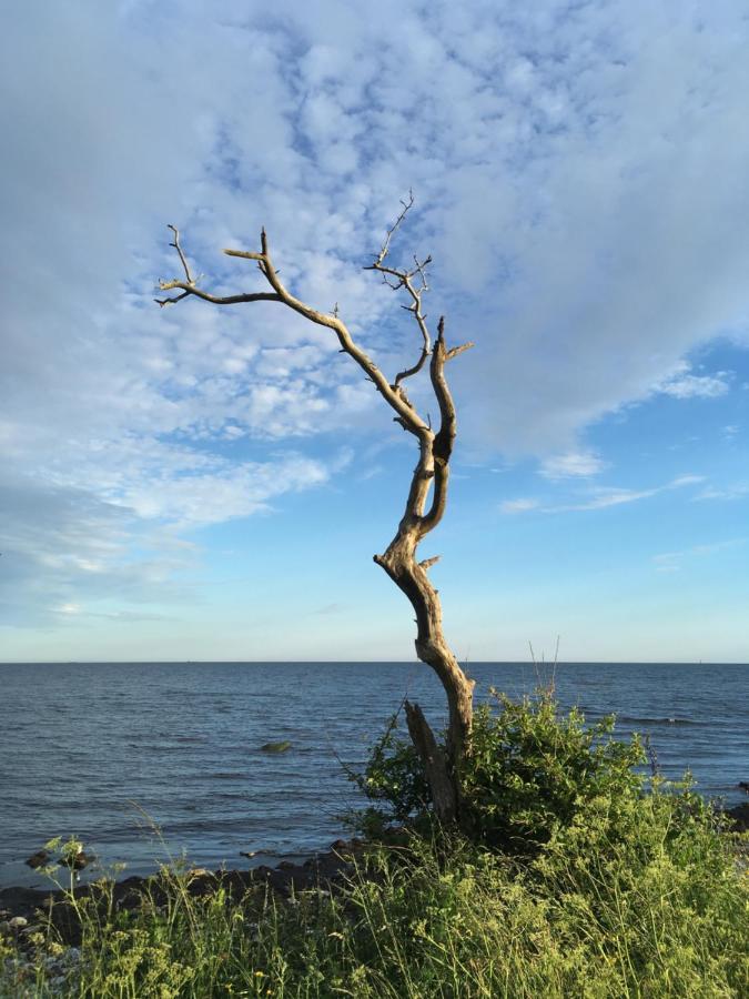 Rum Pa Landet Klagstorp Ngoại thất bức ảnh